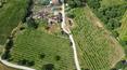 Toscana Immobiliare - Villas and farmhouses for sale in Tuscany