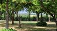 Toscana Immobiliare -