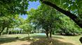 Toscana Immobiliare -
