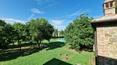 Toscana Immobiliare -