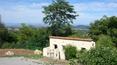 Toscana Immobiliare - Le jardin exclusif abrite une magnifique piscine de 10 x 5 m