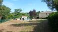 Toscana Immobiliare - Der exklusive Garten beherbergt einen wunderschönen 10x5 m großen Swimmingpool