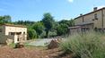 Toscana Immobiliare - The exclusive garden houses a wonderful 10x5 m swimming pool