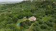 Toscana Immobiliare -
