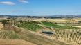 Toscana Immobiliare - Farm with vineyards for sale in Tuscany