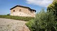 Toscana Immobiliare - Proprietà in vendita nel verde delle colline della provincia di Grosseto, nel comune di Campagnatico