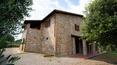 Toscana Immobiliare - The land of 41 ha consists of a vineyard with 2.8 ha of Morellino di Scansano D.O.C.G, woodland, olive grove, arable land and walnut plantation