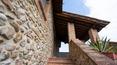 Toscana Immobiliare - Bauernhof mit Weinbergen in der Toskana zu verkaufen