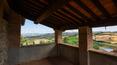 Toscana Immobiliare -  Finca con 41 ha de terreno, una casa de campo reformada, una casa en construcción y un anexo en venta en Maremma