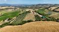 Toscana Immobiliare - La proprietà include un'abitazione in costruzione con uno splendido porticato con vista panoramica sul vigneto sottostante