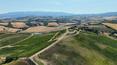Toscana Immobiliare -  Ferme avec 41 ha de terrain, une ferme rénovée, une maison en construction et une annexe à vendre en Maremme