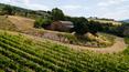 Toscana Immobiliare - Grundstück zu verkaufen in den grünen Hügeln der Provinz Grosseto, in der Gemeinde Campagnatico