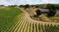 Toscana Immobiliare - The property includes a house under construction with a splendid portico with panoramic views over the vineyard below
