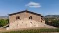 Toscana Immobiliare - Granja toscana de 41 hectáreas con producción de vino en venta en la cima de una colina en la región de Maremma