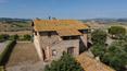 Toscana Immobiliare - Azienda agricola con 41 ha di terreno, un casale ristrutturato, una casa in costruzione e un annesso in vendita in Maremma