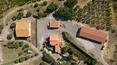 Toscana Immobiliare -  La propriété comprend une maison en construction avec un splendide portique offrant une vue panoramique sur le vignoble en contrebas