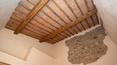 Toscana Immobiliare - Farm for sale in Tuscany