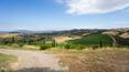 Toscana Immobiliare - Azienda agricola toscana di 41 ettari con produzione vitivinicola in vendita sulla cima di un colle immerso in Maremma