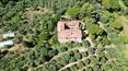 Toscana Immobiliare - Rustici e casali in vendita a Tequanda Siena Toscana