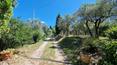 Toscana Immobiliare - Maisons de campagne à Sienne, Toscane