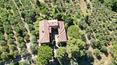 Toscana Immobiliare - Rustici e casali in vendita a Tequanda Siena Toscana
