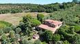 Toscana Immobiliare - Rustici e casali in vendita a Tequanda Siena Toscana
