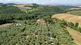 Toscana Immobiliare - Rustici e casali in vendita a Tequanda Siena Toscana