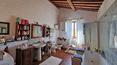 Toscana Immobiliare - Casale in pietra con terreno in vendita a Trequanda, Siena