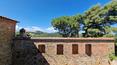 Toscana Immobiliare - Casale in pietra con terreno in vendita a Trequanda, Siena
