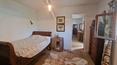 Toscana Immobiliare -  Pequeña granja independiente con piscina y olivar en venta en la provincia de Siena, Toscana