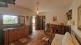 Toscana Immobiliare - Ferme avec piscine et oliveraie à vendre en Toscane