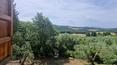Toscana Immobiliare - The property is surrounded by greenery and is located just 5 minutes from the village, not far from the Val d'Orcia and the Maremma coastline