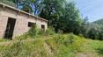 Toscana Immobiliare - Petit agritourisme indépendant avec piscine et oliveraie à vendre dans la province de Sienne, Toscane