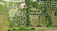 Toscana Immobiliare - La proprietà dispone di un annesso di un pozzo