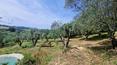 Toscana Immobiliare - Casale toscano con terreno e piscina in vendita a Trequanda vista Val d'Orcia