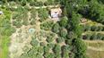 Toscana Immobiliare - Tuscan farmhouse with land and pool for sale in Trequanda Val d'Orcia view