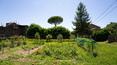 Toscana Immobiliare -