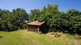 Toscana Immobiliare -