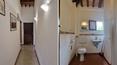 Toscana Immobiliare - Tuscany holiday farm