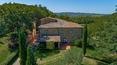Toscana Immobiliare - The property is located near the ancient village of San Pancrazio, in an area dedicated to the cultivation of vines