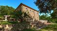 Toscana Immobiliare - The park of about 1.5 hectares houses a wonderful 6x12 m raised swimming pool with Roman staircase