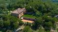 Toscana Immobiliare - The property enjoys splendid views over vineyards, olive groves and woods typical of the area