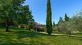 Toscana Immobiliare - Finca con viñedos en venta cerca de Arezzo, Toscana