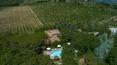 Toscana Immobiliare - Podere di lusso risalente al 1400 con villa principale, dépendance, piscina e 12 ettari di vigneti con cantina