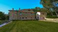 Toscana Immobiliare - Ferme avec vignobles à vendre près d'Arezzo, Toscane