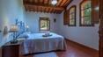 Toscana Immobiliare - El parque de aproximadamente 1,5 hectáreas alberga una maravillosa piscina elevada de 6x12 m con escalera romana