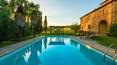 Toscana Immobiliare - The large garden houses an annexe, another annexe and a splendid swimming pool with solarium