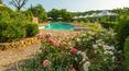 Toscana Immobiliare - A skilful restoration has transformed the complex into an enchanting agriturismo