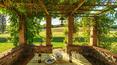 Toscana Immobiliare - The property is immersed in a large plot of around 12 hectares with olive groves, arable land and woodland