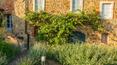 Toscana Immobiliare - The area is framed by the sinuous Tuscan hills, designed by endless rows of vineyards and olive groves